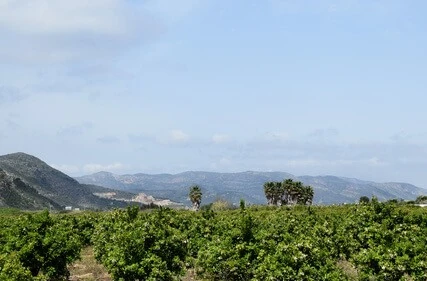 Verhuizen naar Valencia