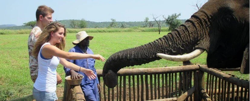 Leven in Zuid-Afrika