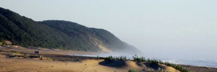 Leven in Zuid-Afrika