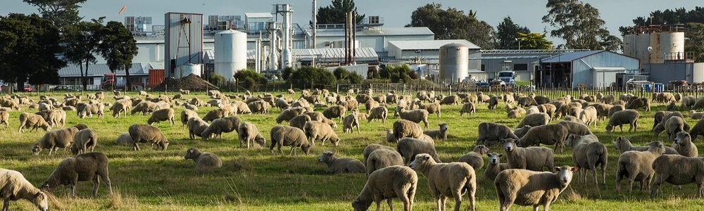 Werken in Nieuw-Zeeland