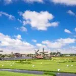 Terug naar Nederland na 20 jaar: een emotionele, maar vlekkeloze verhuizing met Traslo