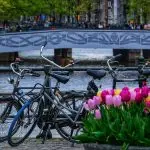 Terug naar Bangalore na vier jaar in Nederland